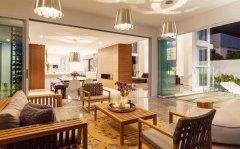 边牧离奇死亡，主人知道原因后，懊悔不已