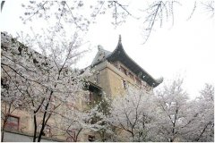 在武汉，100平米装修房除甲醛需要多少钱？