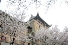 在武汉，100平米装修房除甲醛需要多少钱？