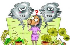 不同的除甲醛公司效果差在哪儿