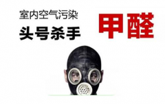 教你夏天除醛小妙招！