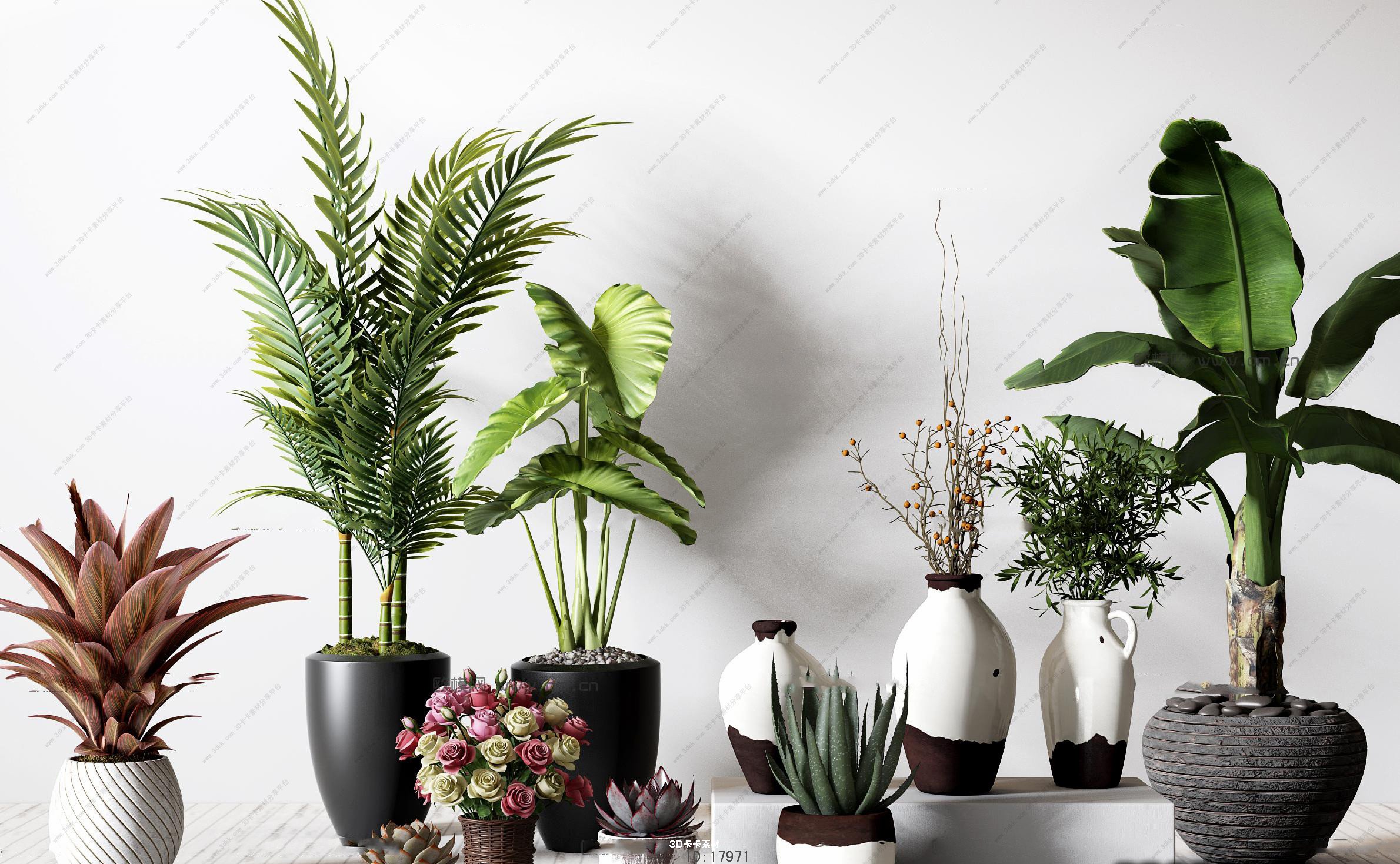 来看看你的房子适合养什么植物？