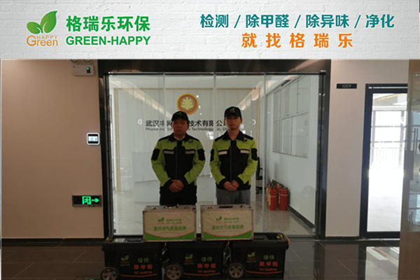 武汉丰网信息技术办公区甲醛治理案例