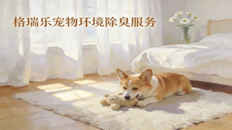 专业宠物除臭就选格瑞乐！武汉宠境除臭师上门，还你洁净家居环境